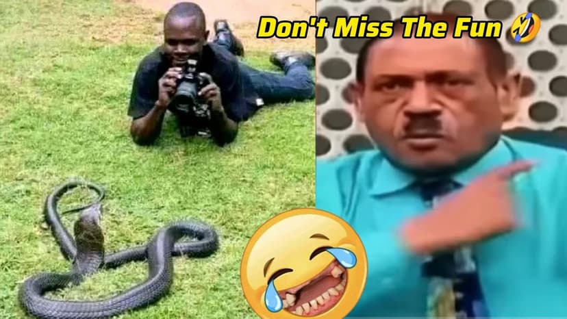 99 Top-Notch Comedy Moments Around The World//Try Not To Laugh Toughest Challenge
