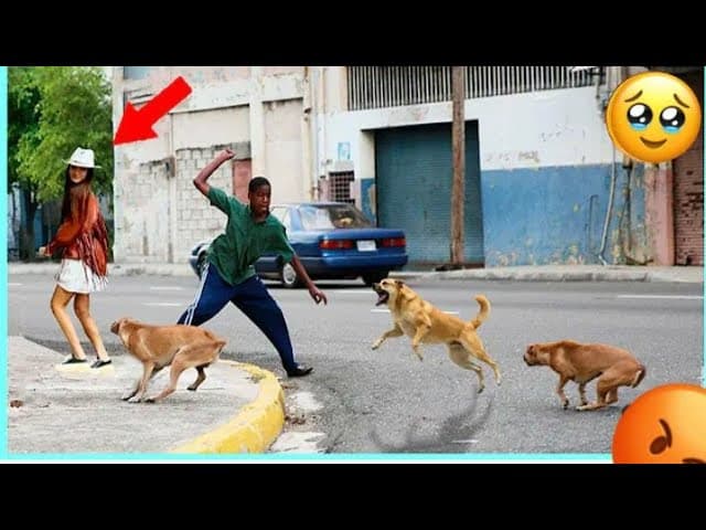 Try not to laugh 😂😂😂 challenge level 35 extreme funniest videos #funny #laugh #comedy #funnyvideo